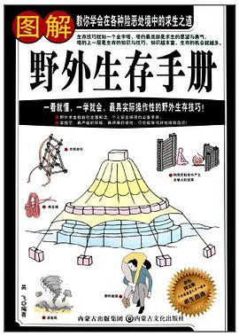 腦卒中 pdf epub mobi 下载