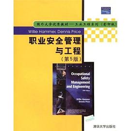 职业安全管理与工程 pdf epub mobi 电子书 下载