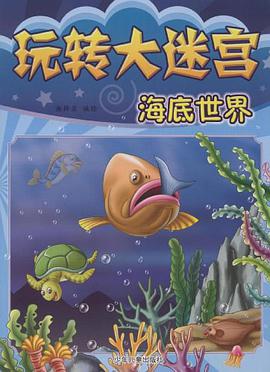 玩转大迷宫 pdf epub mobi 电子书 下载