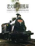 老火車再現風華－台灣鐵路文化保存紀實暨鐵道傳物館之展 pdf epub mobi 电子书 下载