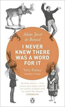I Never Knew There Was a Word for it pdf epub mobi 电子书 下载