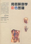 局部解剖学彩色图谱 pdf epub mobi 电子书 下载