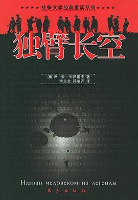 独臂长空 pdf epub mobi 电子书 下载