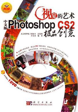 视觉的艺术 pdf epub mobi 电子书 下载