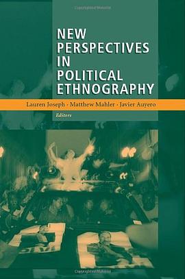 New Perspectives in Political Ethnography pdf epub mobi 电子书 下载