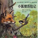 小狐狸历险记 pdf epub mobi 电子书 下载