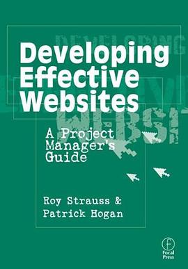 Developing Effective Websites pdf epub mobi 电子书 下载