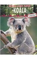 Koala pdf epub mobi 电子书 下载