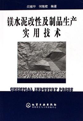 镁水泥改性及制品生产实用技术 pdf epub mobi 电子书 下载
