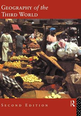 A Geography of the Third World pdf epub mobi 电子书 下载