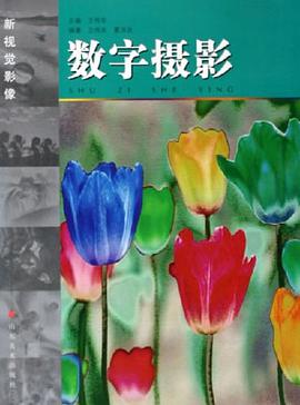 數字攝影 pdf epub mobi 電子書 下載