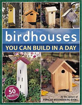 Birdhouses You Can Build in a Day pdf epub mobi 电子书 下载
