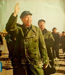 华主席视察大庆 pdf epub mobi 下载