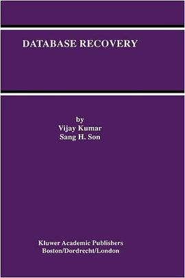 Database Recovery pdf epub mobi 电子书 下载