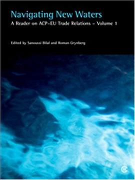 Navigating New Waters pdf epub mobi 电子书 下载