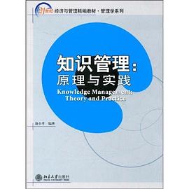 知识管理 pdf epub mobi 电子书 下载