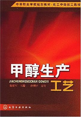 甲醇生产工艺 pdf epub mobi 电子书 下载