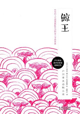 鲸王 pdf epub mobi 电子书 下载