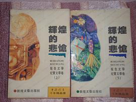 辉煌的悲怆 pdf epub mobi 电子书 下载