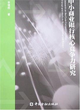 中小商业银行核心竞争力研究 pdf epub mobi 电子书 下载