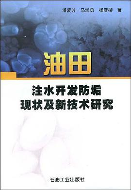 油田注水开发防垢现状及新技术研究 pdf epub mobi 电子书 下载