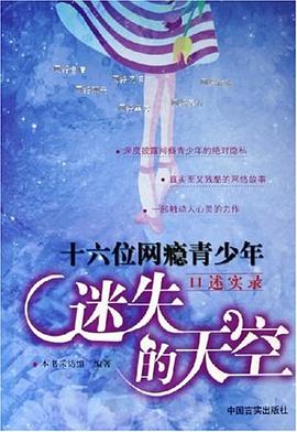 迷失的天空 pdf epub mobi 电子书 下载