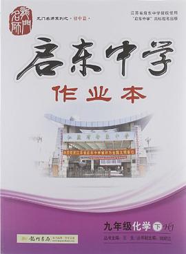 九年级化学（下） pdf epub mobi 电子书 下载