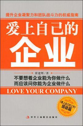 爱上自己的企业 pdf epub mobi 电子书 下载