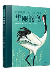 华丽的鸟 pdf epub mobi 电子书 下载