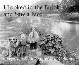 I Looked in the Brook and Saw a Face pdf epub mobi 电子书 下载