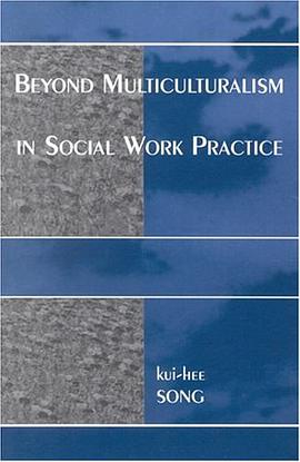 Beyond Multiculturalism in Social Work Practice pdf epub mobi 電子書 下載