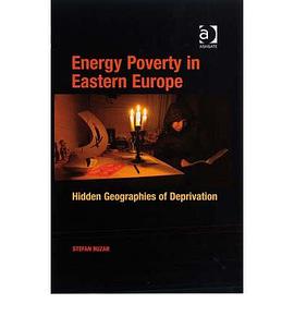 Energy Poverty in Eastern Europe pdf epub mobi 电子书 下载