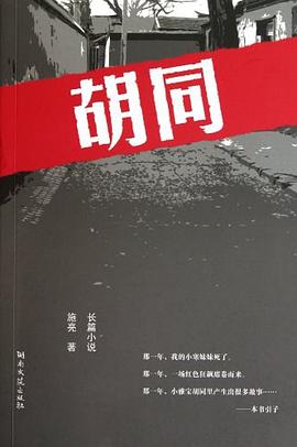 胡同 pdf epub mobi 电子书 下载
