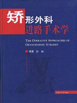 矫形外科进路手术学 pdf epub mobi 电子书 下载