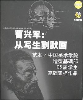 曹兴军 pdf epub mobi 电子书 下载