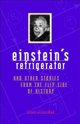 Einstein's Refrigerator Stories from Flip Side of pdf epub mobi 下载