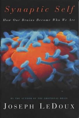 Synaptic Self pdf epub mobi 电子书 下载