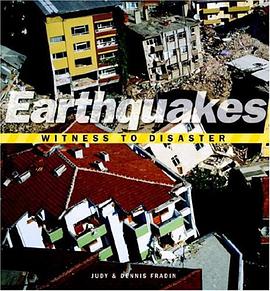 Witness to Disaster pdf epub mobi 电子书 下载