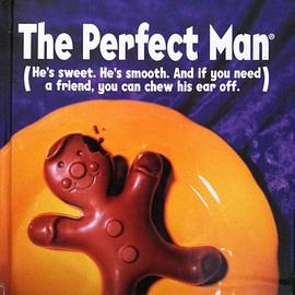 The Perfect Man pdf epub mobi 电子书 下载