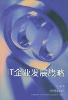 IT企业发展战略