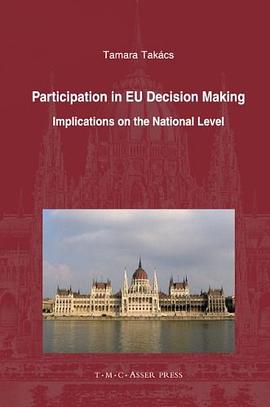 Participation in EU Decision Making