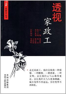 透视家政工 pdf epub mobi 电子书 下载