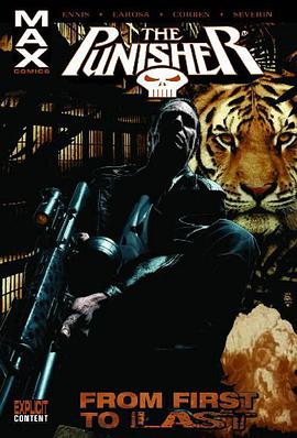 Punisher Max pdf epub mobi 电子书 下载