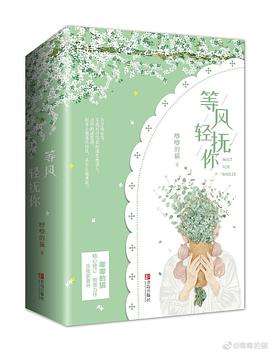 等风轻抚你 pdf epub mobi 电子书 下载