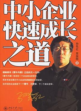 中小企业快速成长之道 pdf epub mobi 电子书 下载