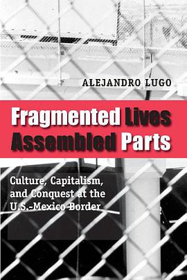 Fragmented Lives, Assembled Parts pdf epub mobi 電子書 下載