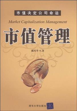 市值管理 pdf epub mobi 電子書 下載