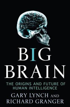 Big Brain pdf epub mobi 电子书 下载