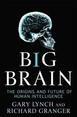 Big Brain pdf epub mobi 电子书 下载