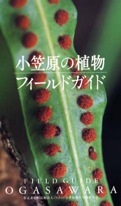 小笠原の植物フィ－ルドガイド pdf epub mobi 電子書 下載